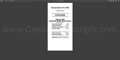 Software preview Printable PDF receipt