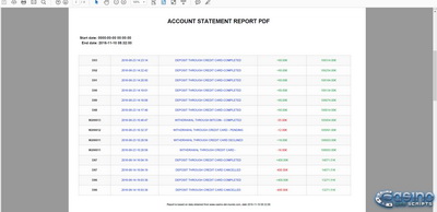 Software preview Account statement PDF report
