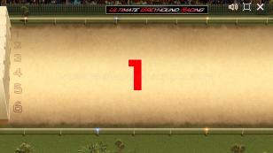 Greyhound Dog Racing Preview Pic 8