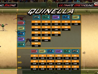 Greyhound Dog Racing Quinella - Mobile and PC