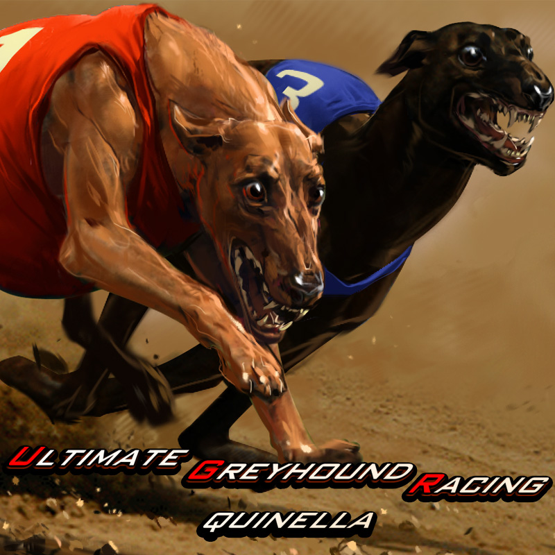 Greyhound Dog Racing Quinella - Mobile and PC