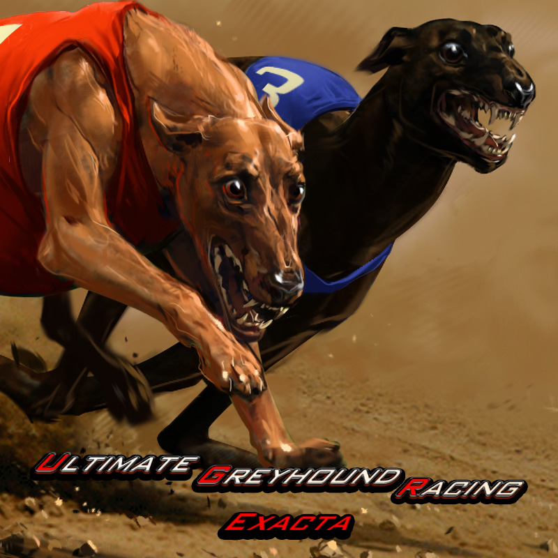 Greyhound Dog Racing Exacta - Mobile and PC