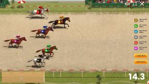 Horse Race Quinella Preview Pic 12